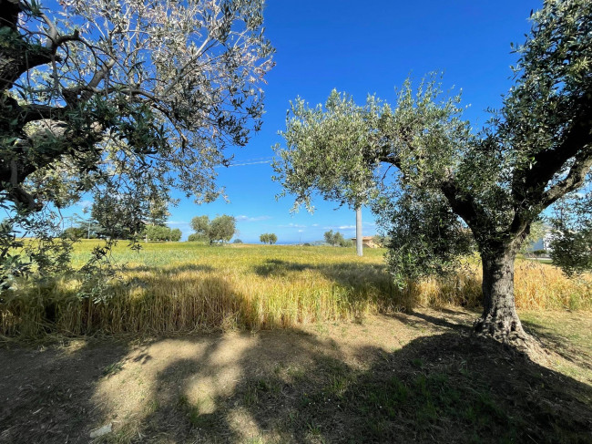 Rustico/Casale in vendita a Corropoli