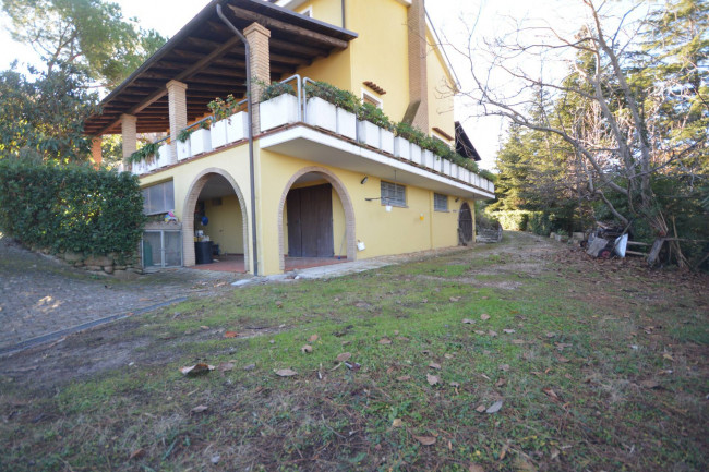 Villa zu verkauf in Colonnella