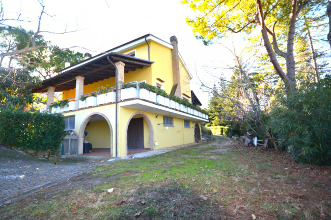 Villa zu verkauf in Colonnella
