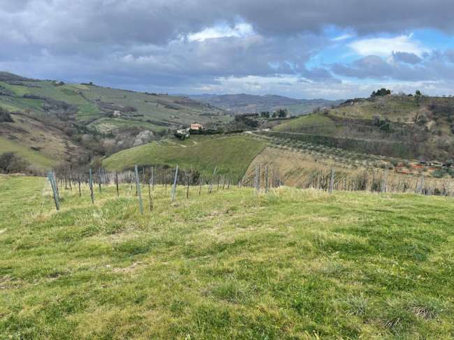 country house for sale in Ripatransone