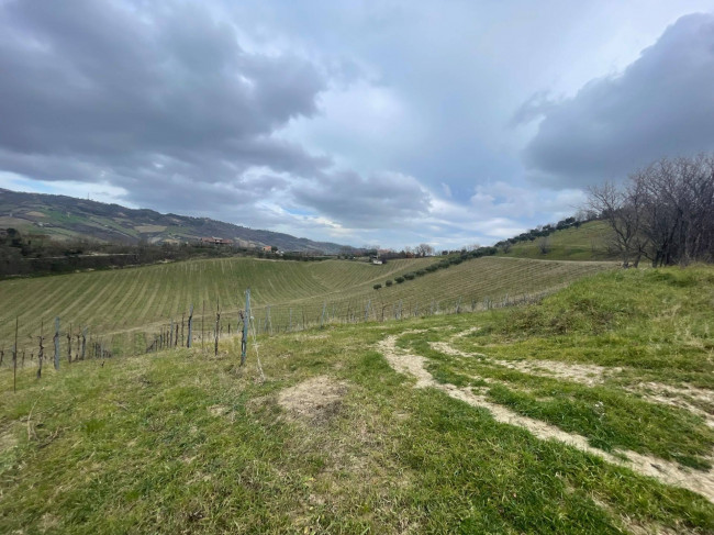 country house for sale in Ripatransone