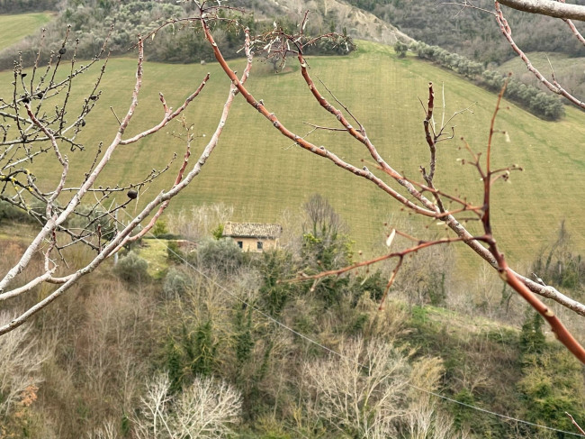 country house for sale in Ripatransone