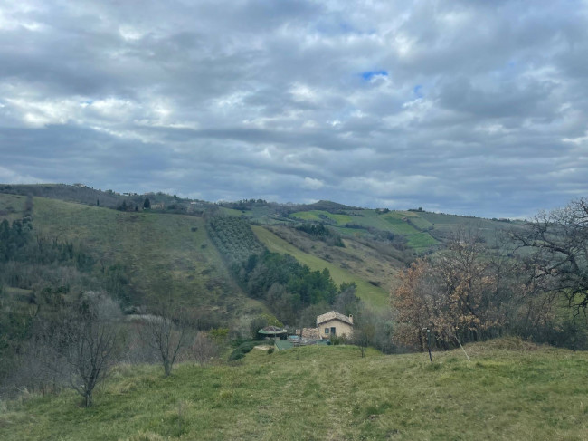 country house for sale in Ripatransone