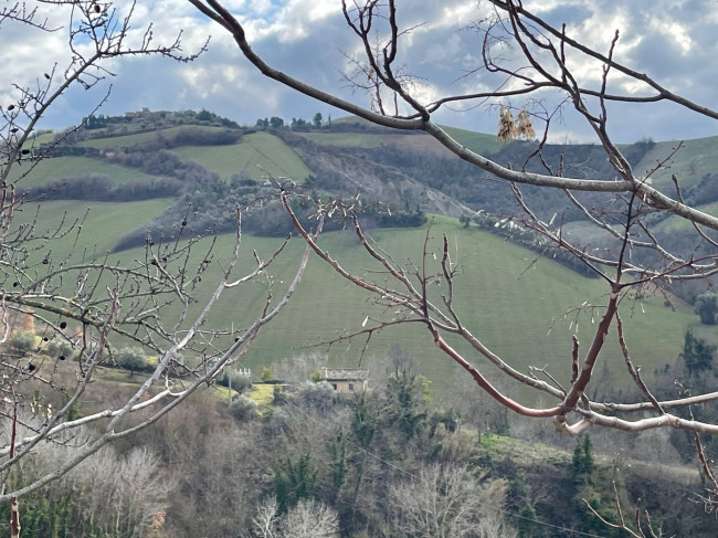 country house for sale in Ripatransone