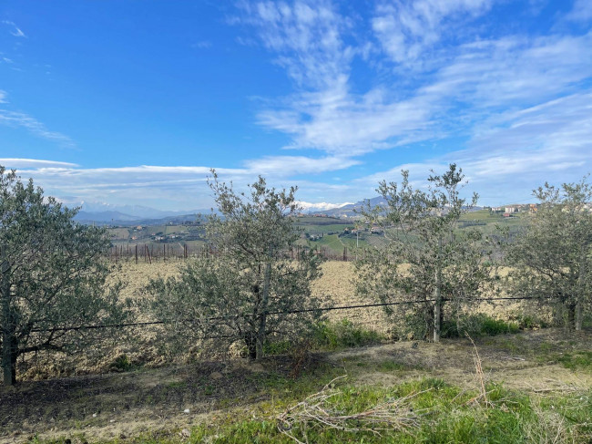 Casa indipendente in vendita a Offida