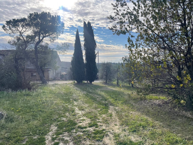 Casa indipendente in vendita a Offida