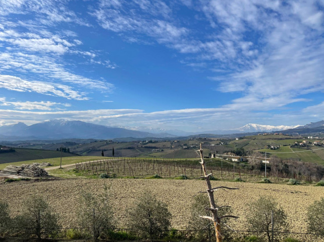 Casa indipendente in vendita a Offida