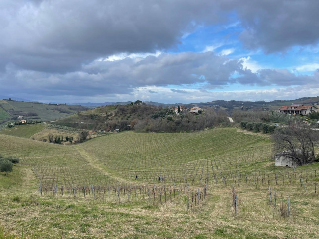 Terreno Agricolo in vendita a Ripatransone