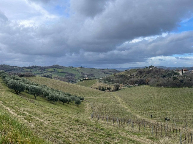 Terreno Agricolo in vendita a Ripatransone