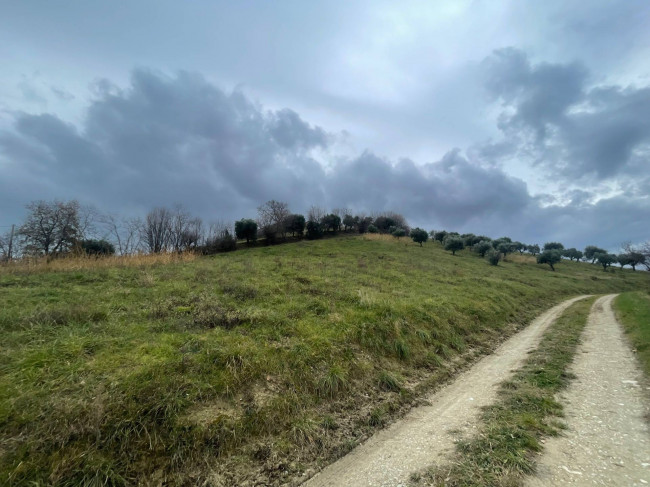 Terreno Agricolo in vendita a Ripatransone