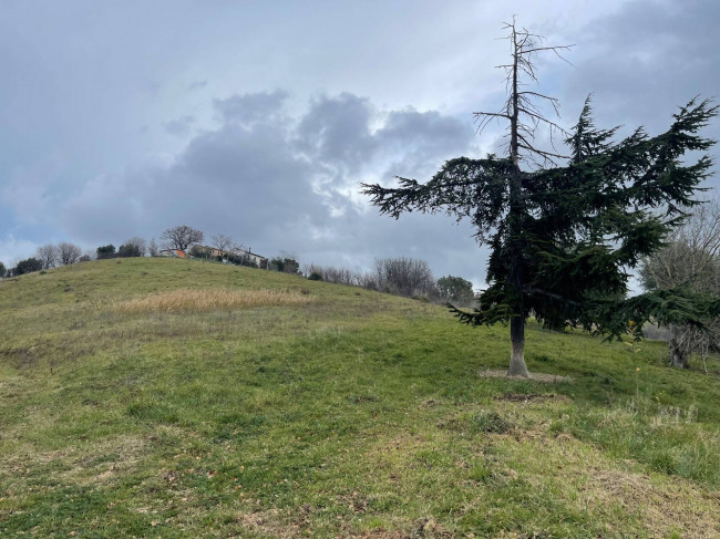 Terreno Agricolo in vendita a Ripatransone