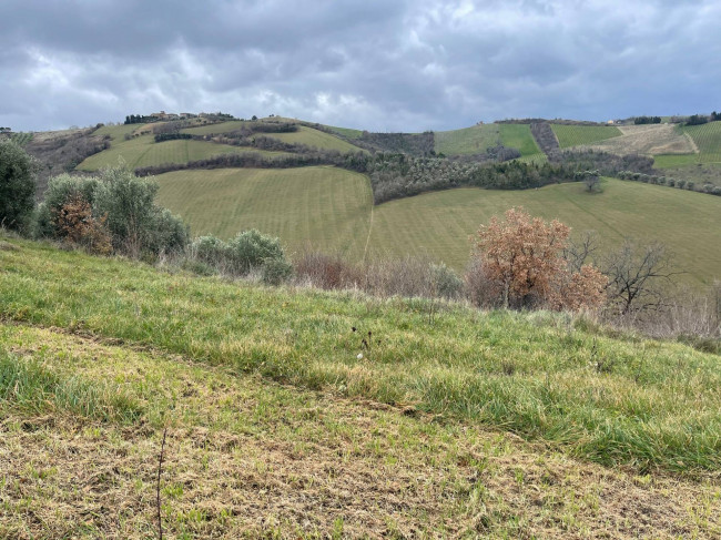 Terreno Agricolo in vendita a Ripatransone