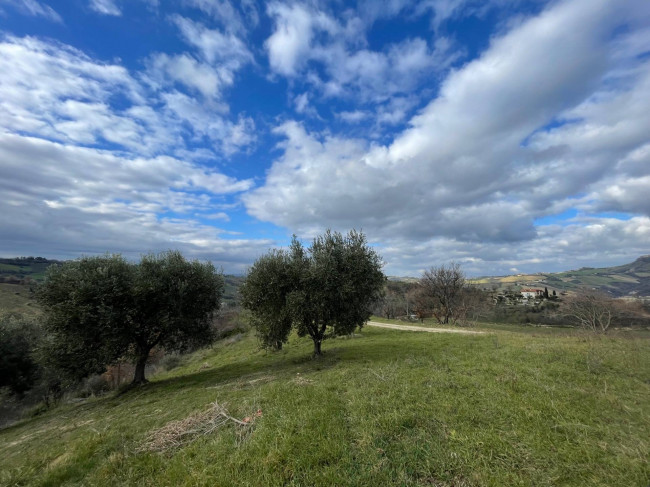 Terreno Agricolo in vendita a Ripatransone