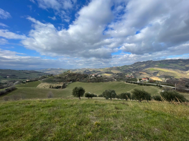 Terreno Agricolo in vendita a Ripatransone