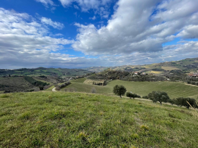 Terreno Agricolo in vendita a Ripatransone