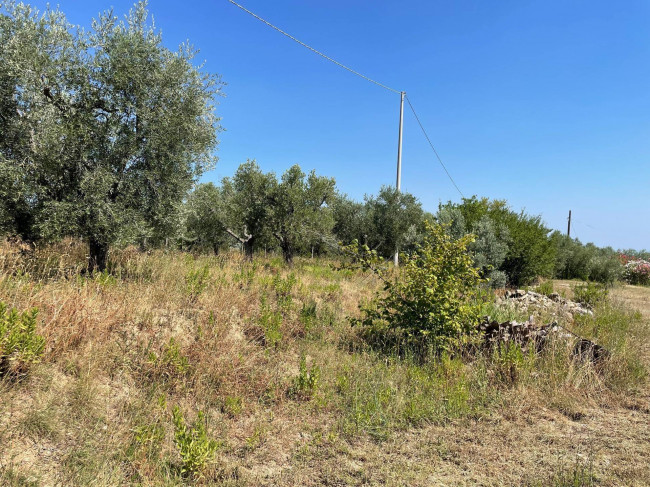 Rustico/Casale in vendita a Ripatransone