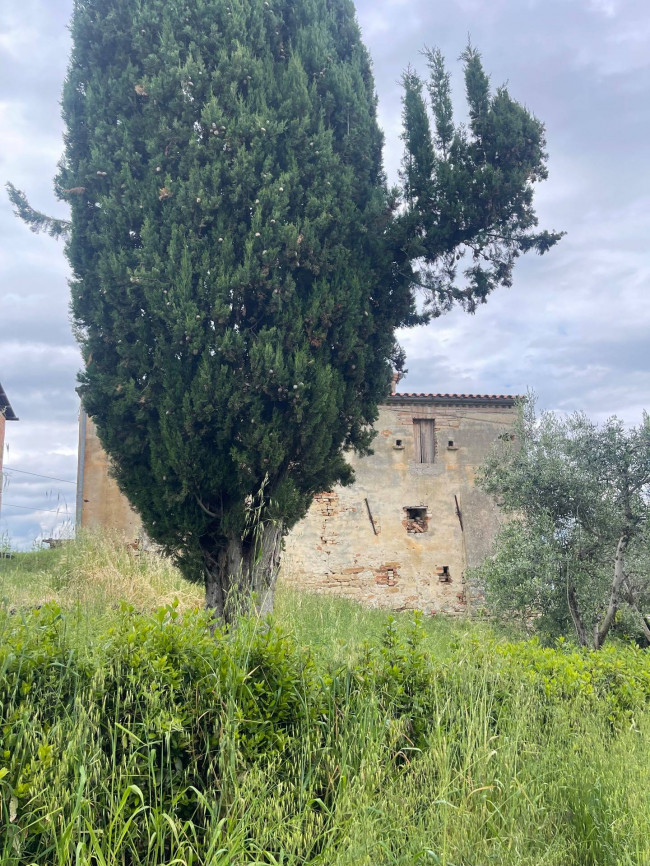 Rustico/Casale in vendita a Montedinove