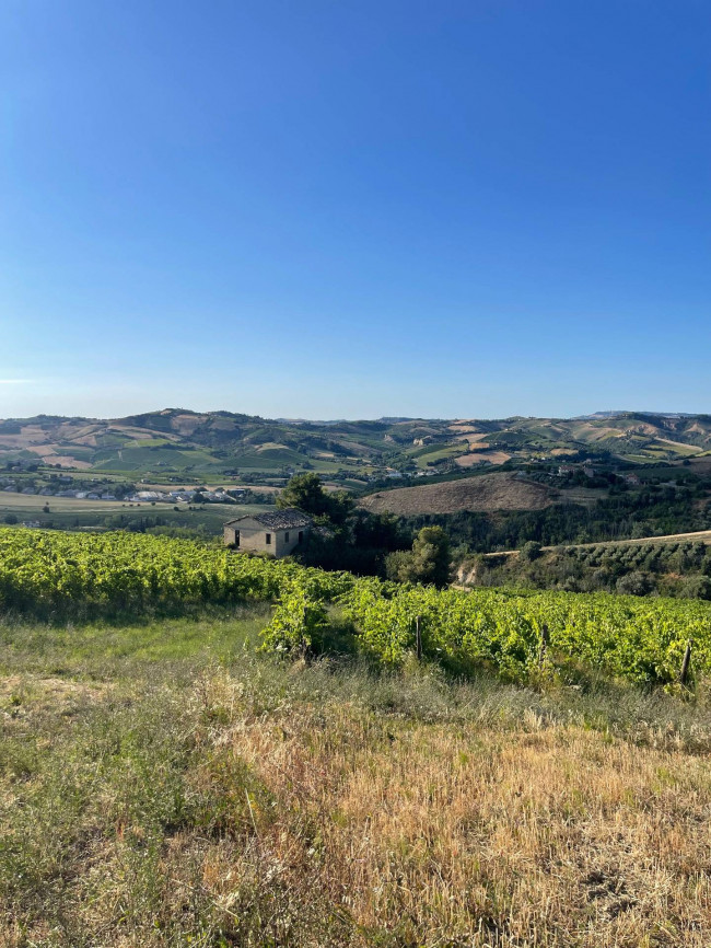 country house for sale in Offida