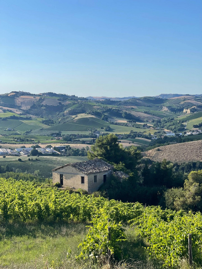 country house for sale in Offida