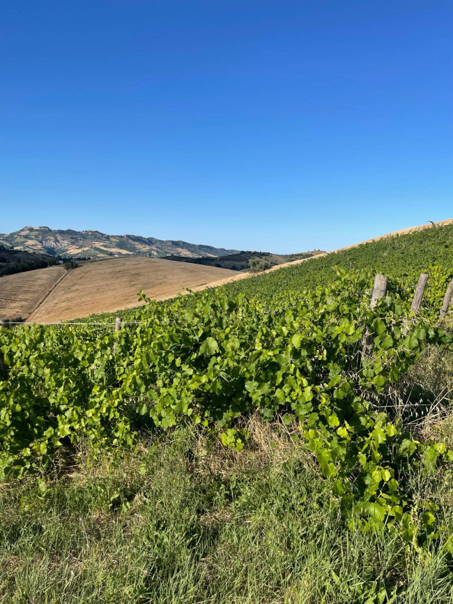 country house for sale in Offida