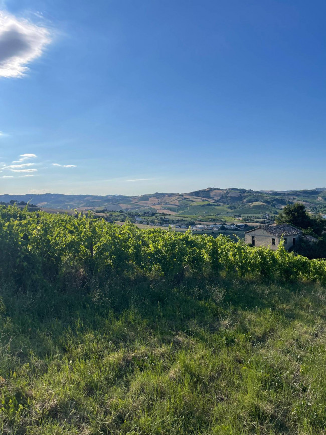 country house for sale in Offida