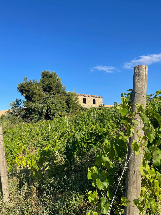 country house for sale in Offida