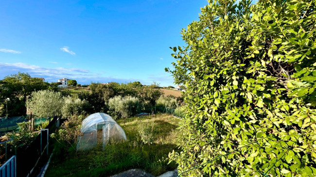 terraced house for sale in Grottammare