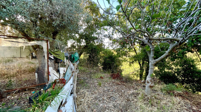 terraced house for sale in Grottammare