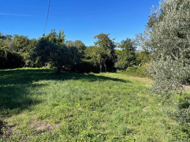 Villa in vendita a Colonnella