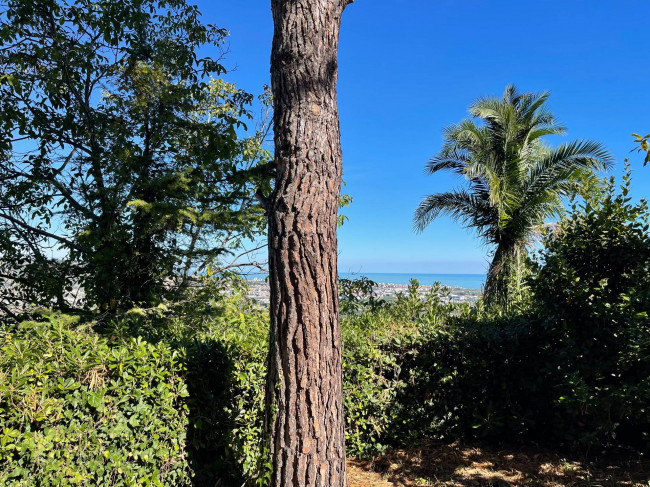 Villa in vendita a Colonnella