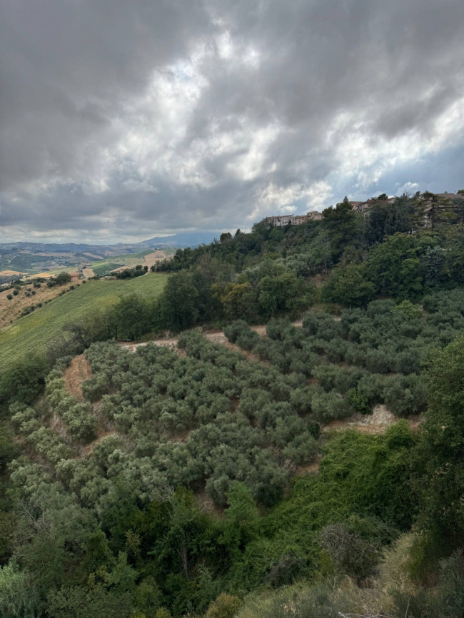 Wohnung zu verkauf in Carassai