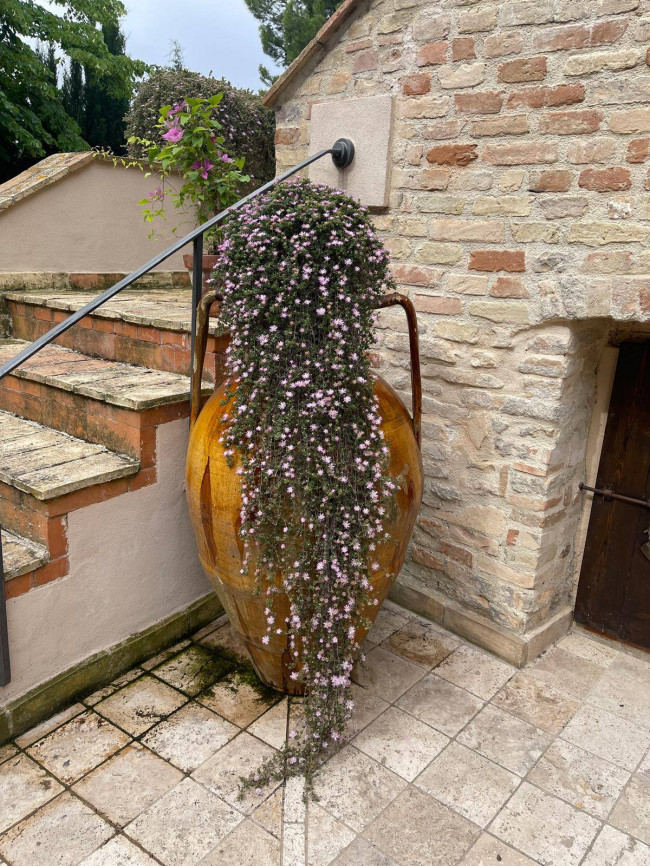 Villa in vendita a Acquaviva Picena