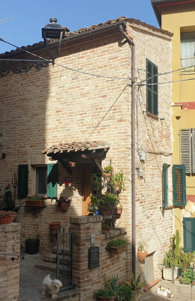 Casa cielo terra in vendita a Montedinove