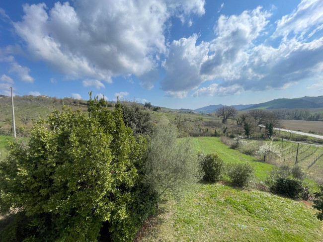 Wohnung zu verkauf in Ripatransone