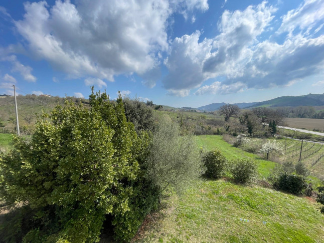 Wohnung zu verkauf in Ripatransone