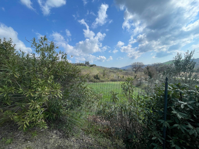 Wohnung zu verkauf in Ripatransone