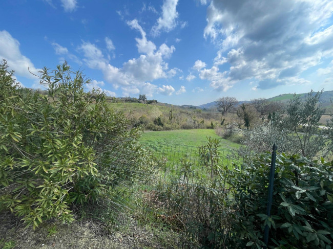 Wohnung zu verkauf in Ripatransone