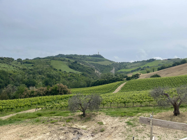 Rustico/Casale in vendita a Ripatransone