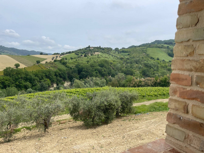 Rustico/Casale in vendita a Ripatransone