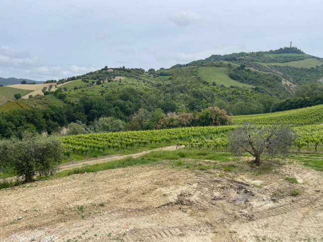 Rustico/Casale in vendita a Ripatransone