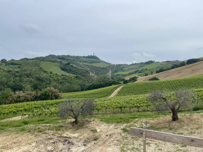 Rustico/Casale in vendita a Ripatransone