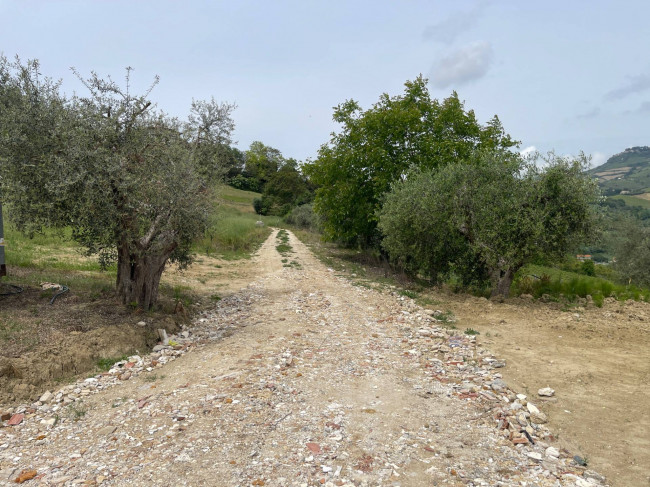 Rustico/Casale in vendita a Ripatransone
