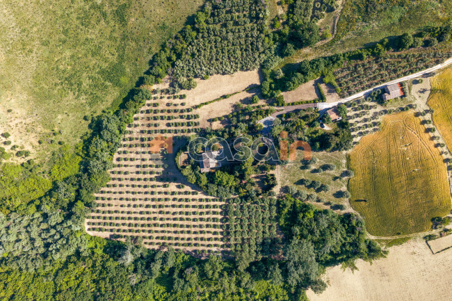 Villa in vendita a Acquaviva Picena