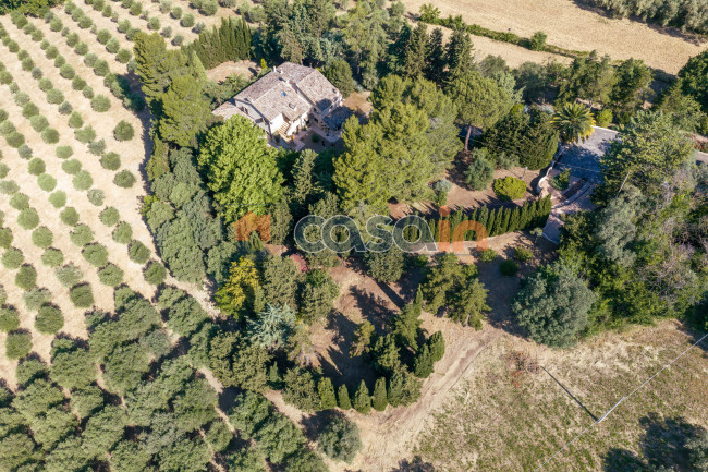 Villa in vendita a Acquaviva Picena