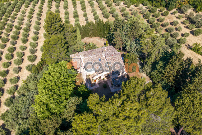 Villa in vendita a Acquaviva Picena