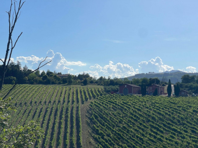 Casa indipendente in vendita a Offida