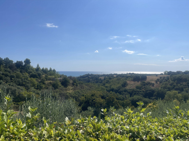 Albergo in vendita a Cupra Marittima