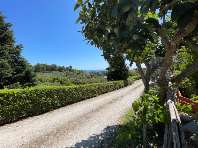 Albergo in vendita a Cupra Marittima