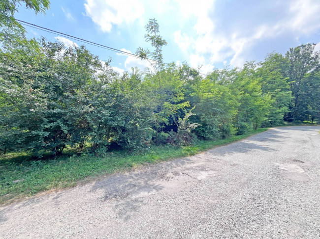Terreno Agricolo in vendita a Pinerolo