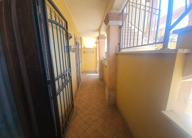  a Ardea